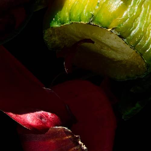Veggies in Space - Old
