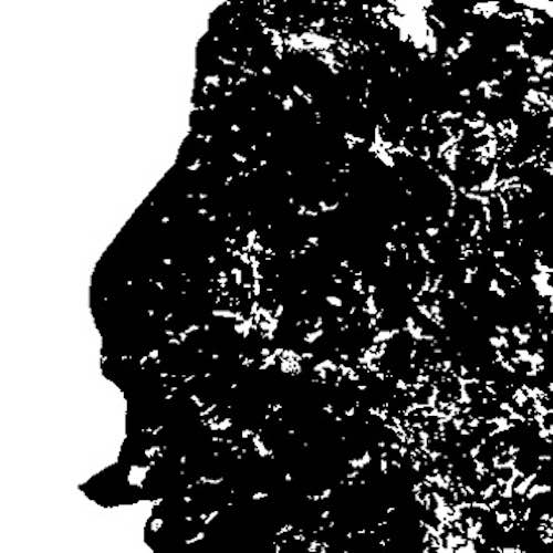 500 sq what_do_you_see_nº01
